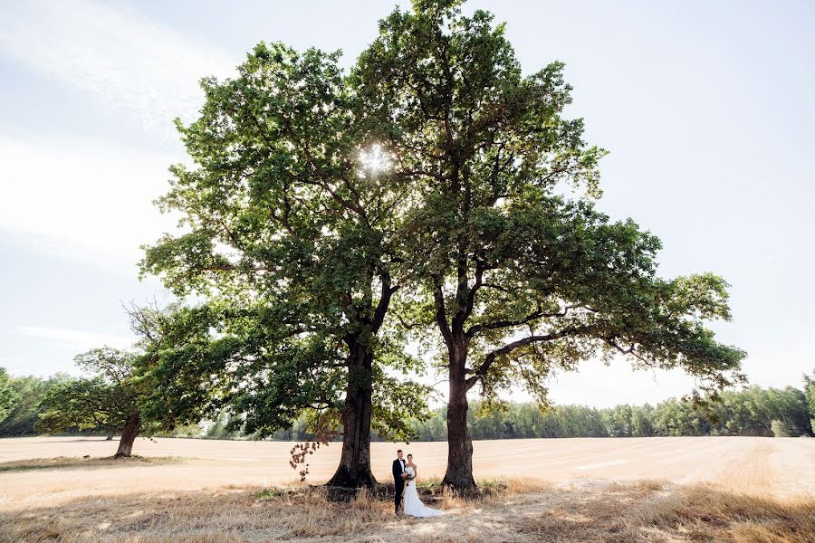 Wedding photographer Aleksandr Dod (alexanderdodz). Photo of 27 January 2016