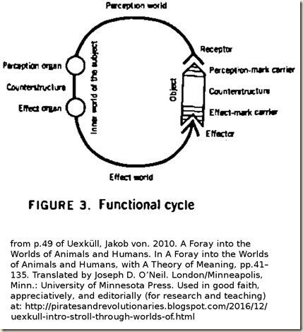 Uexkull. Stroll. subject object perception effection Circuit.fig 3.2010edn.600p