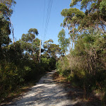 Following the powerlines through the bush (127468)