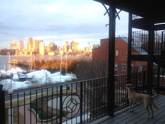 Eastie+Sunrise+-+Auggie.JPG