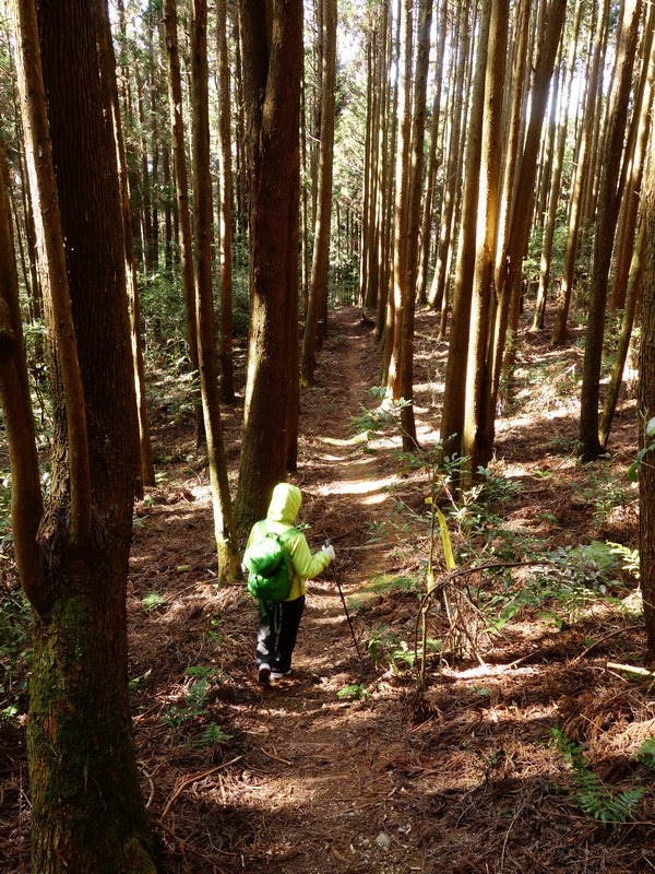 2014_0118 鳶嘴山西北稜→大崠山來回_051