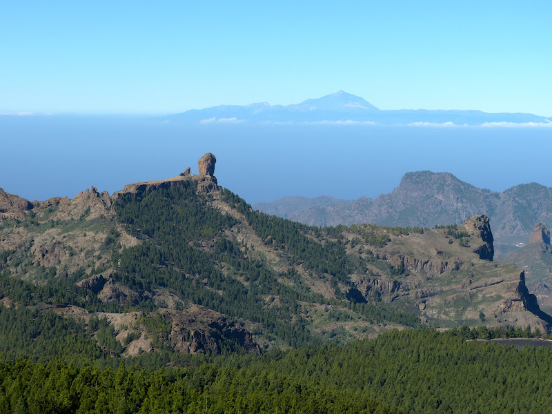 Gran Canaria P1180293