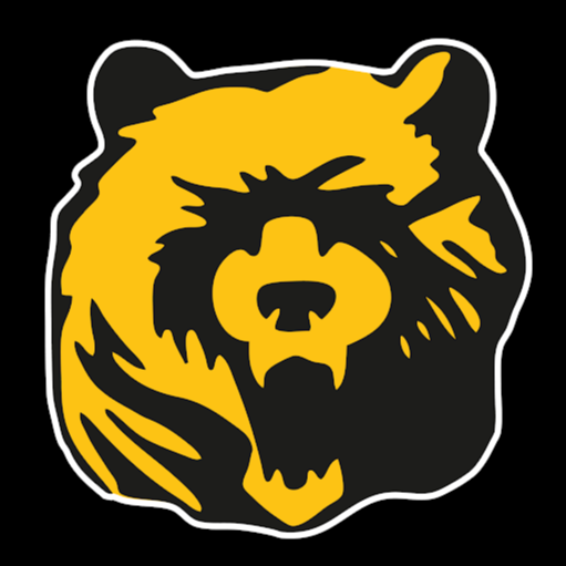 Bern Grizzlies American Football logo