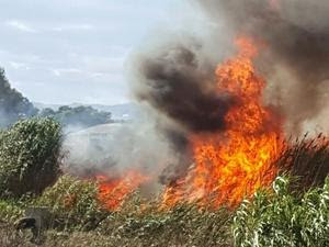 Oasi del Simeto, incendio