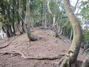 尾根を登る