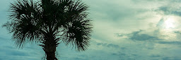 Profile cover photo