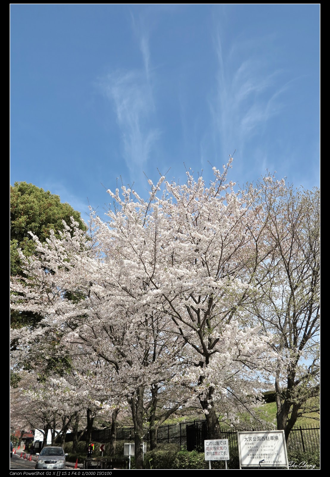 大宮 公園 駐 車場