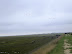 Fosdyke Marsh Nature Reserve