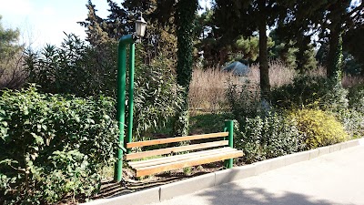 Photos of Mardakan Arboretum