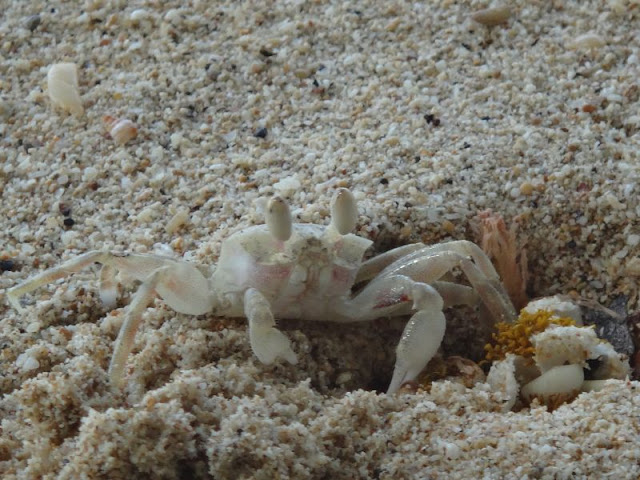 Филиппины - релаксный остров Палаван и Манила