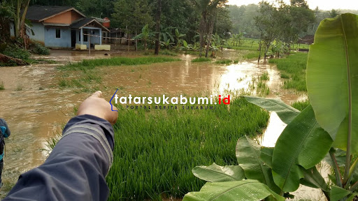 
Luapan Sungai Pangasahan Merendam Puluhan Hektar Sawah, Begini Kondisinya
