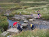 Stepping stones at Welcomb Mouth