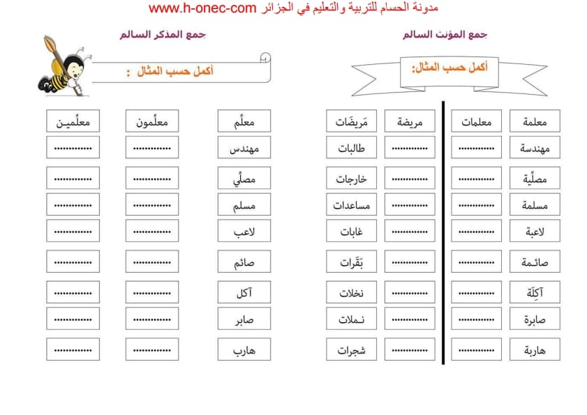 تدريبات عن الجمع المذكر السالم + الجمع المؤنث السالم للسنة الثالثة ابتدائي