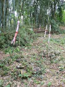 colored streamers on vertical sticks stuck in the ground