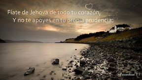 Proverbios 3.5