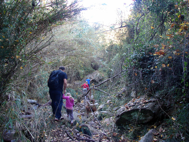 Senderismo - Barranco de Aguas Negras