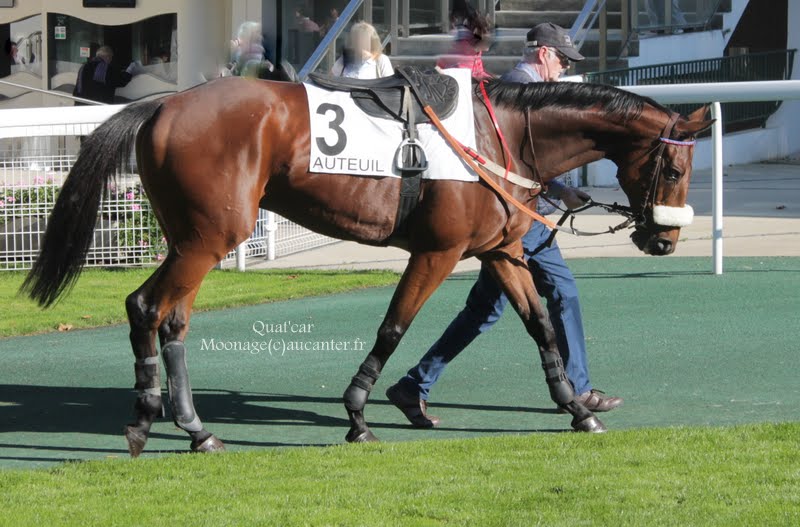 Photos Auteuil 18-10-2014 IMG_4978