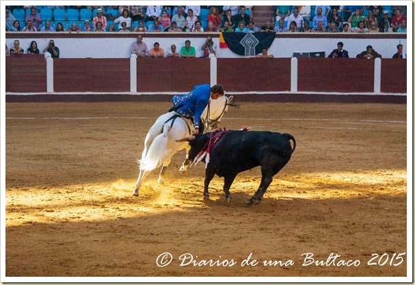 Toros Feria 2015-9917