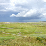 absolutely gorgeous views of De Slufter National Park on Texel in Texel, Netherlands 