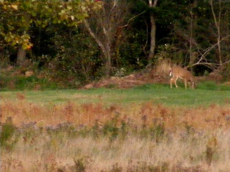 DSCF3291.JPG