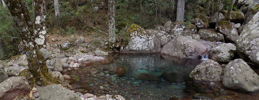 L'arrivée au ruisseau précédant le ruisseau de Saltare