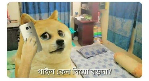 Bangla Popular Funny Doge/Doggy Photo Comments for Facebook | JhotpotInfo