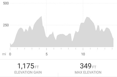 elevation profile