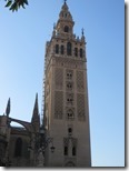 IMG_0031 IMG_0031