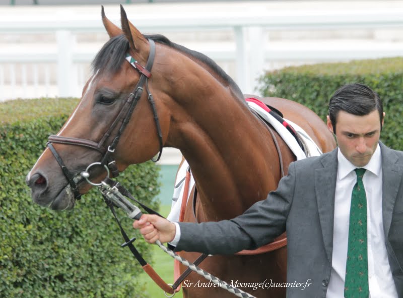 Photos Chantilly 12-07-2015 IMG_2879