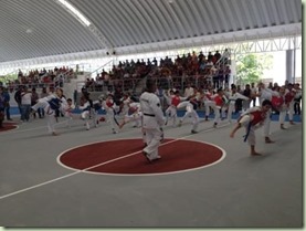 Los alumnos del Instituto de Taekwondo Olímpico