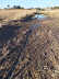 State of the footpaths across the marsh