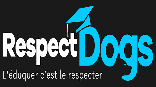 Éducateur canin RespectDogs Bayeux