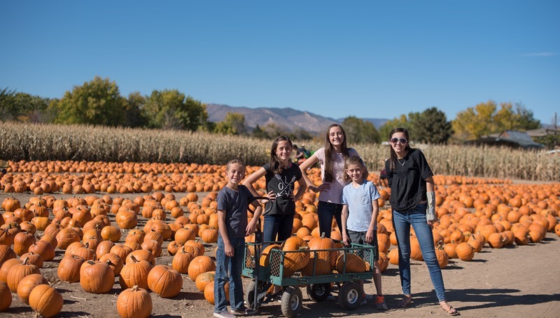 Canon City Pumpkin Patch-47