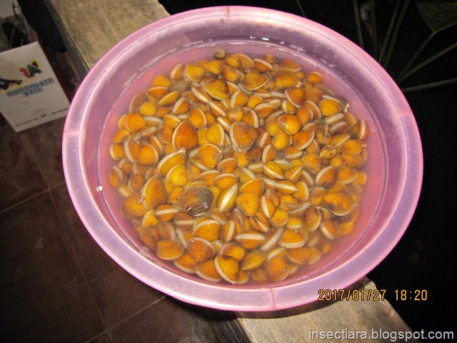 Laya dari danau Tunggilis