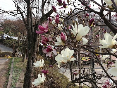 Photos of 박터진흥부네