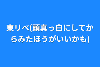 東リベ(頭真っ白にしてからみたほうがいいかも)