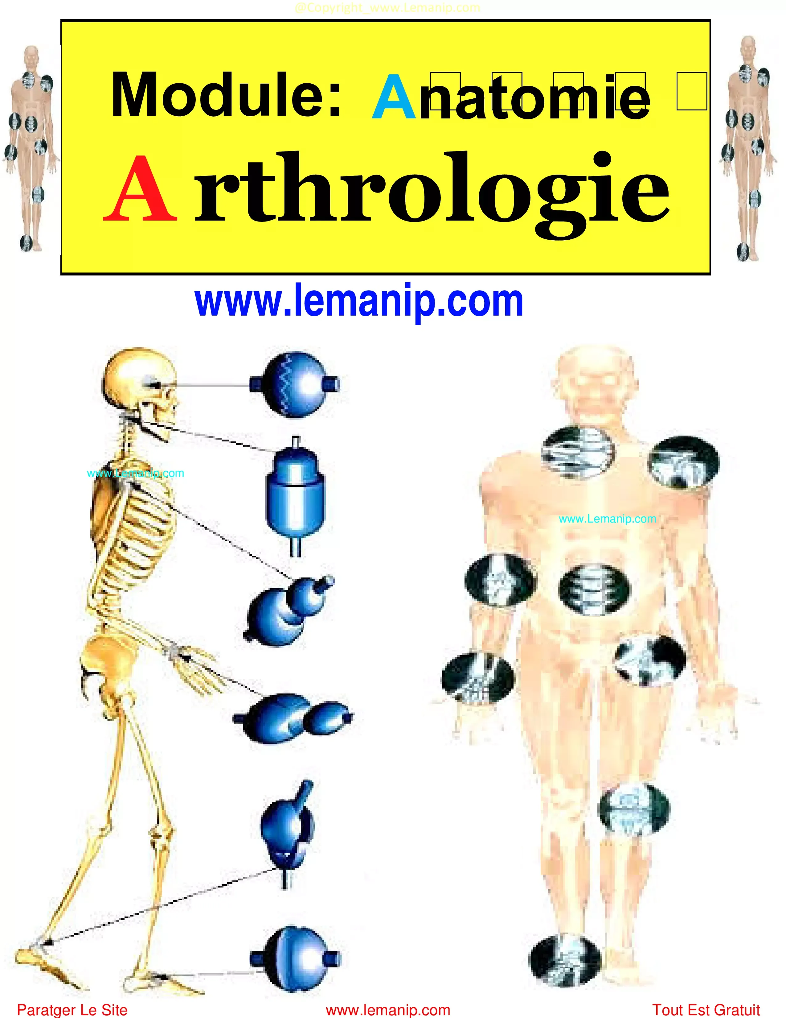 Module : Anatomie  Arthrologie