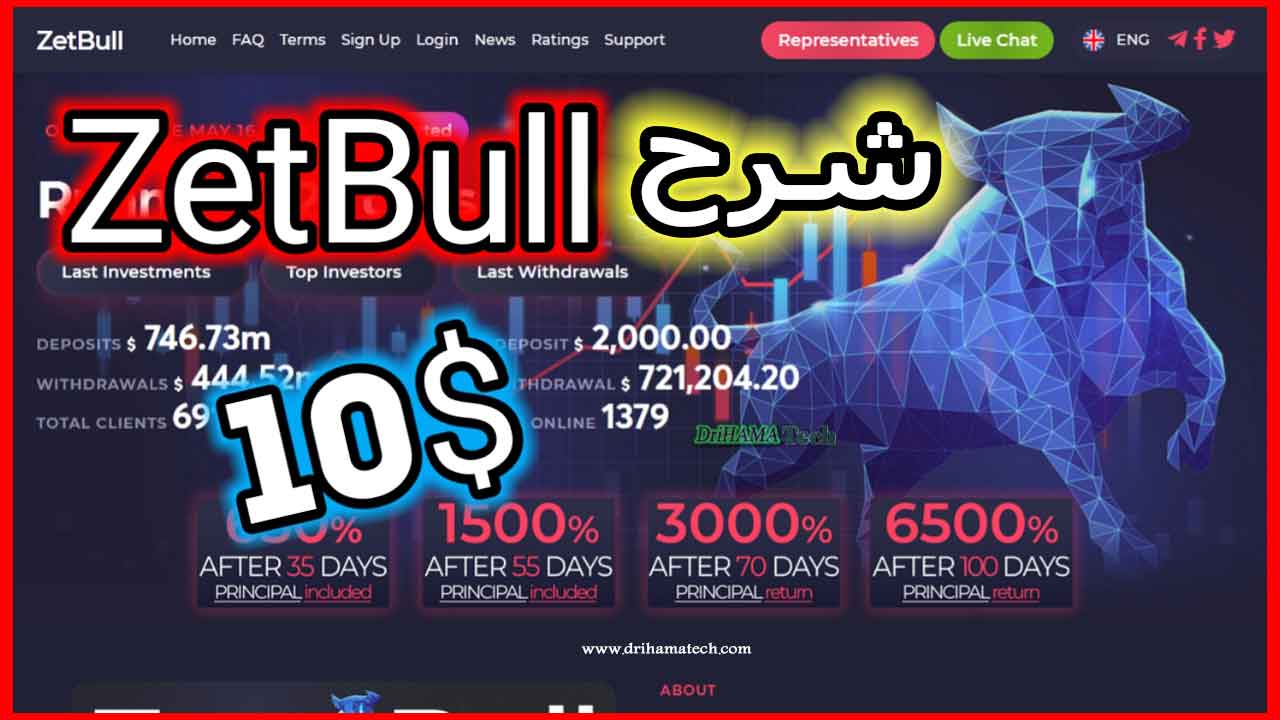 شرح موقع zetbull - طريقة التسجيل شرح موقع zetbull - طريقة التسجيل