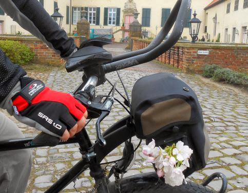 Blüten am Lenkertäschle vor dem Schloss Ostenfelde