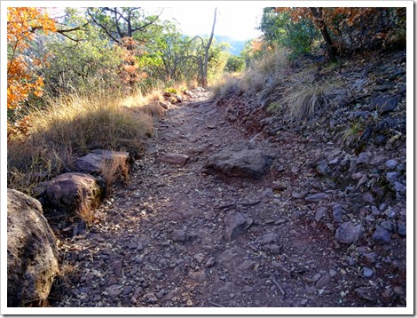 Lost Mine Trail...Big Bend