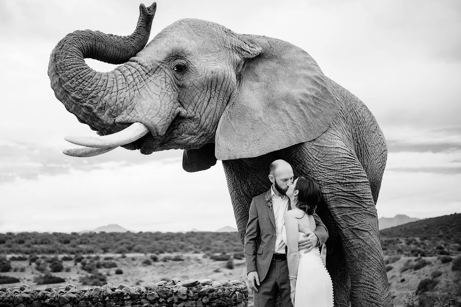 Nhiếp ảnh gia ảnh cưới Ruan Redelinghuys (ruan). Ảnh của 13 tháng 11 2019
