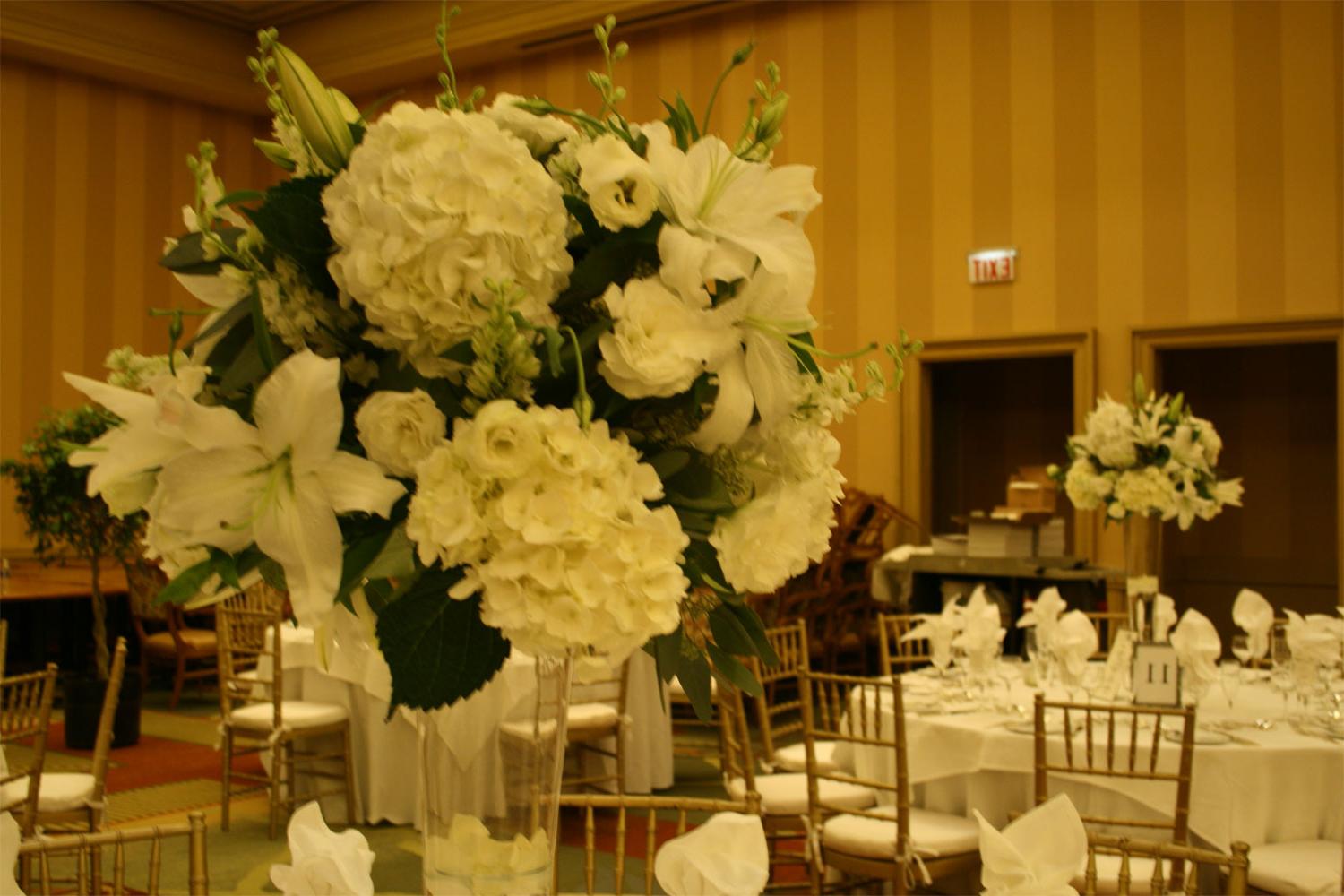 all white flowers: hydrangea,