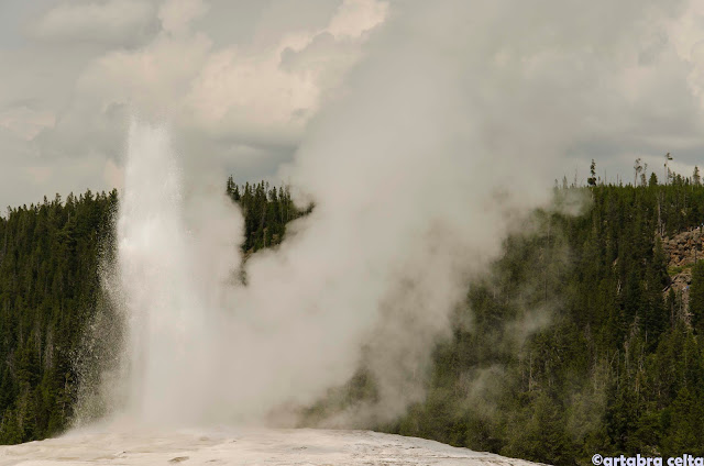 YELLOWSTONE con los 5 sentidos - OESTE DE EEUU 2015. UN MES POR LOS PARQUES NATURALES DE 6 ESTADOS (TERMINADO!!) (22)