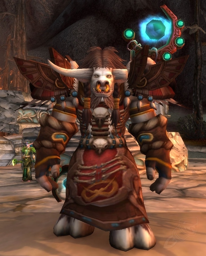 파일:external/wow.zamimg.com/535328-archdruid-hamuul-runetotem.jpg