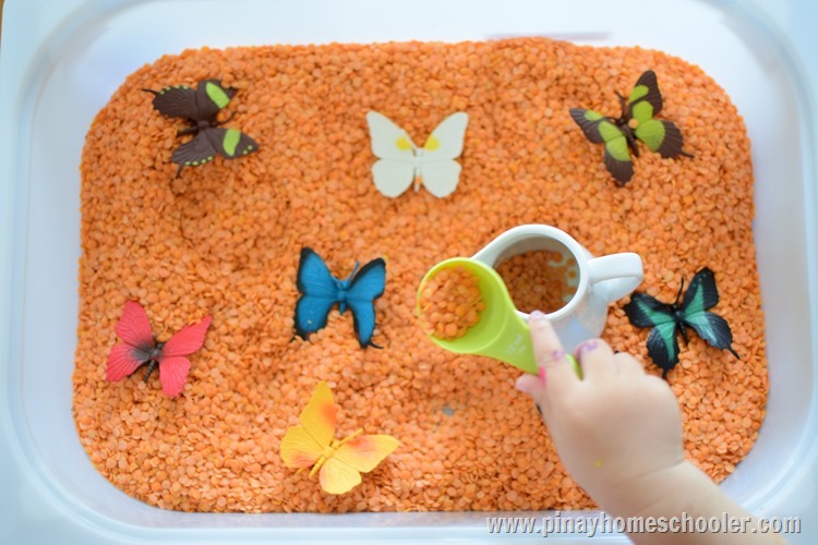 The Butterfly Garden Sensory Tub