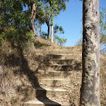 Steps up to the middle Sea Eagle Lookout (402697)