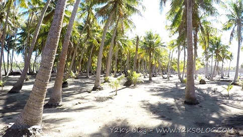 Tupapau Rua - Rangiroa