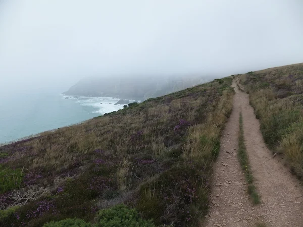 path heading towards Cligga Head