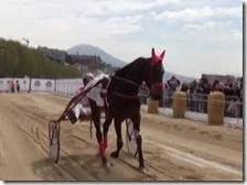 Trotto sul lungomare di Napoli