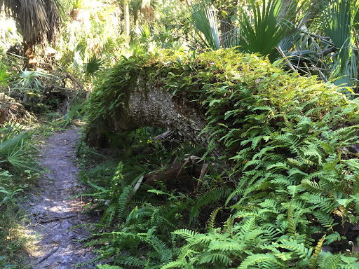 County Government Office «Brevard County Enchanted Forest Sanctuary», reviews and photos, 444 Columbia Blvd, Titusville, FL 32780, USA